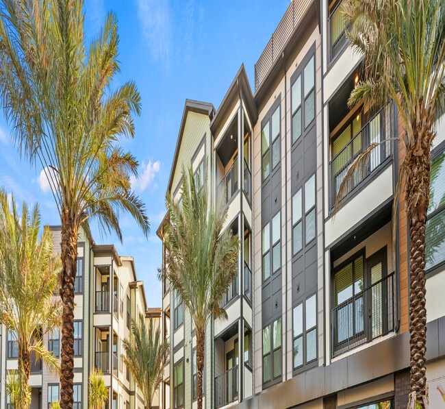 Luxurious apartment complex with sleek modern design featuring a sparkling outdoor pool surrounded by palm trees and comfortable lounge chairs. - Elan Crown Point