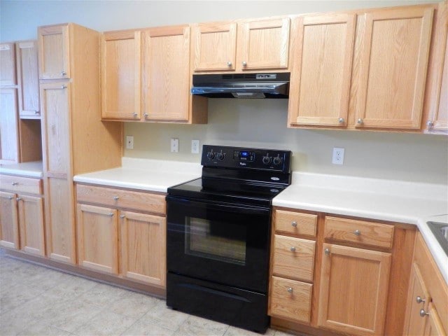 Vista de la cocina 2 - 268 Hadley Commons Dr