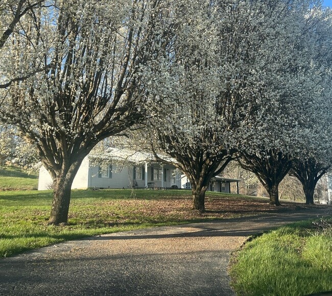 Building Photo - Beautiful Three Bedroom Home in London, KY