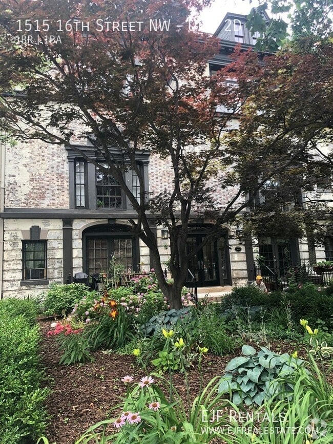 Building Photo - 1515 16th St NW Unit 2D Rental