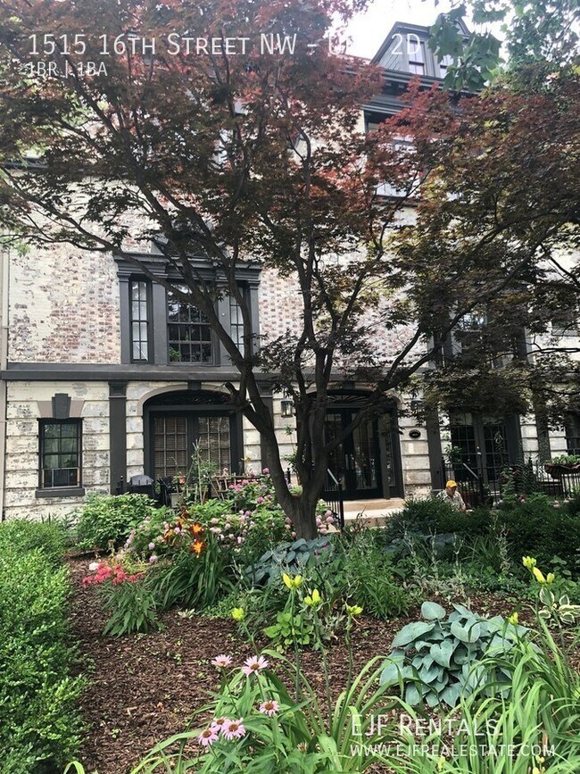 Photo - 1515 16th St NW Apartment Unit 2D