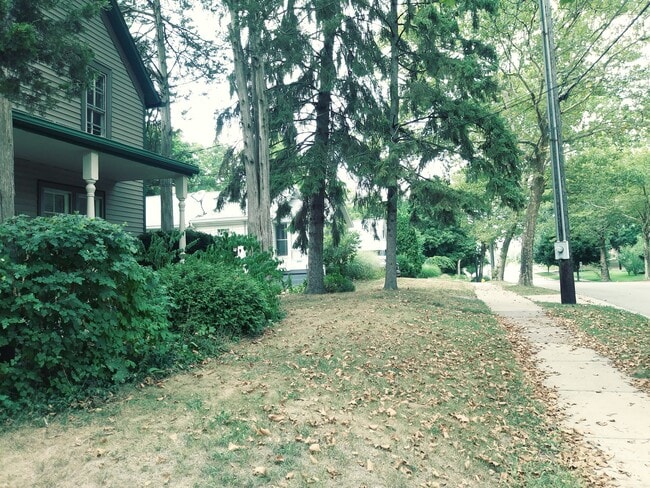 front yard - 311 Plymouth Ave NE Unit 2