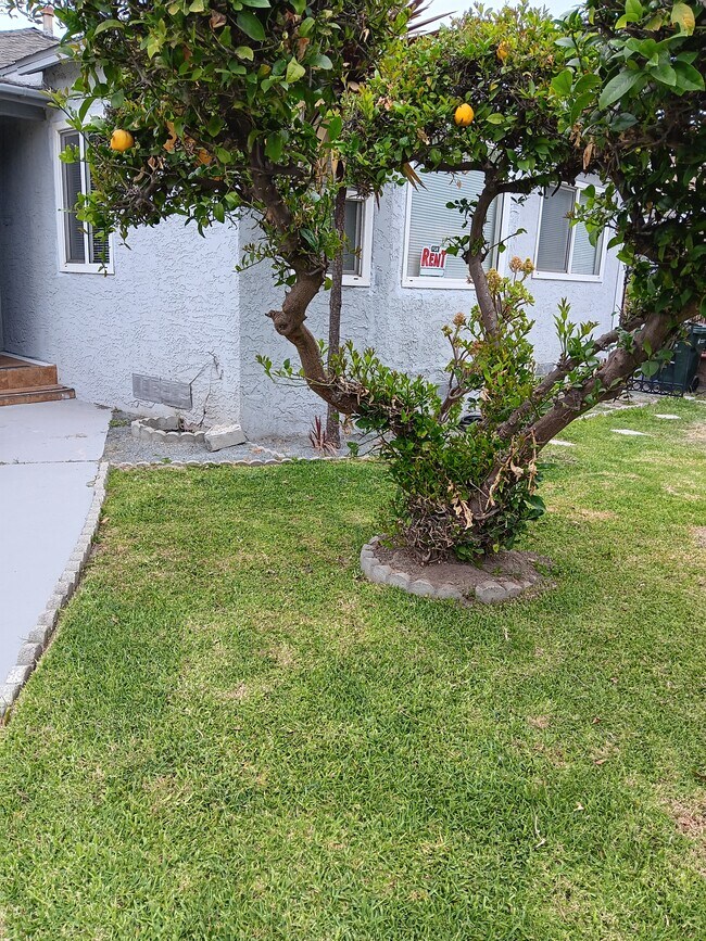 Photo - 3919 Fernwood Ave