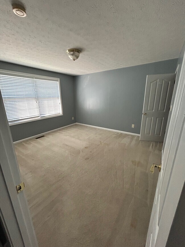 1117 Rolfe Ln House Lexington OffCampus Housing site OffCampus