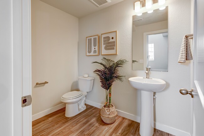 Photo - Canvas at Castle Rock