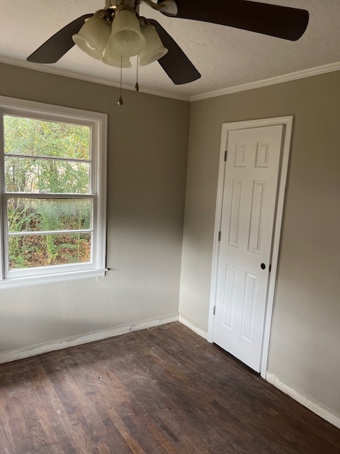 Photo - 1115 Luttrell St