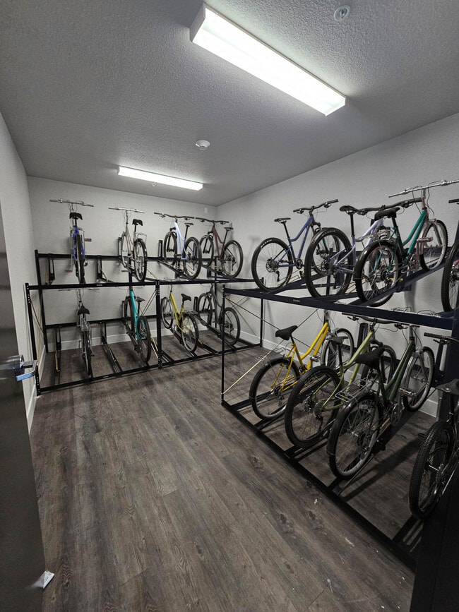 Photo - Junction Crossing