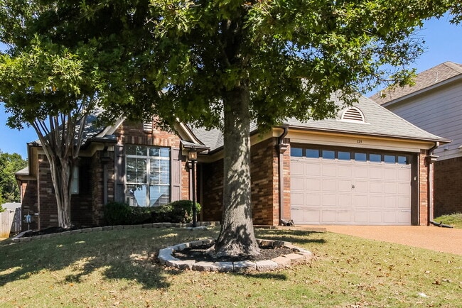 Photo - 225 Birch Springs Cove