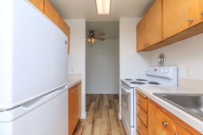 Photo - Tiki Apartments