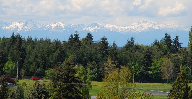 Olympic View