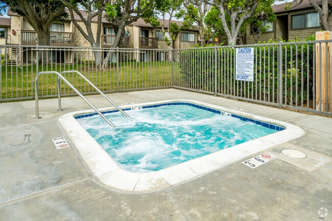 Pool and Spa