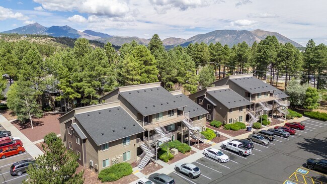 Woodlands Village Apartments