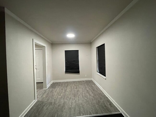 Photo - Highland Charmer! Come see Today!