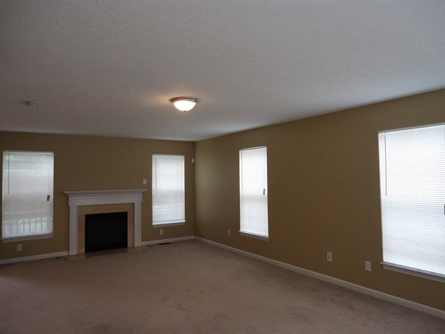 Photo - 5299 Appaloosa Cir