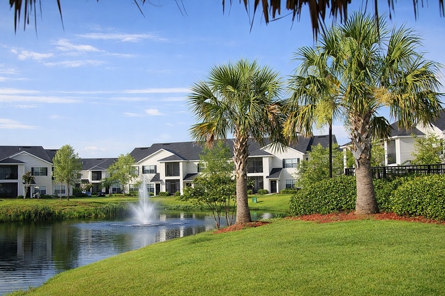 Fountain and Palm Trees - Sweetwater