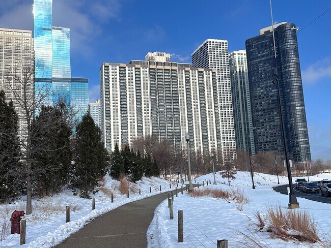 Building Photo - 400 E Randolph St Unit 3201