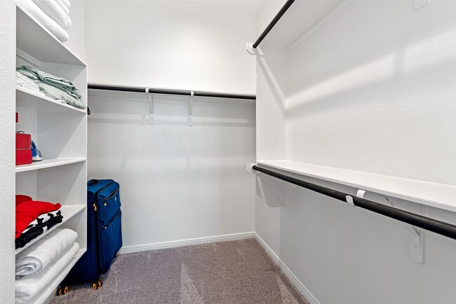 Building Photo - 343 E Coralburst Lp