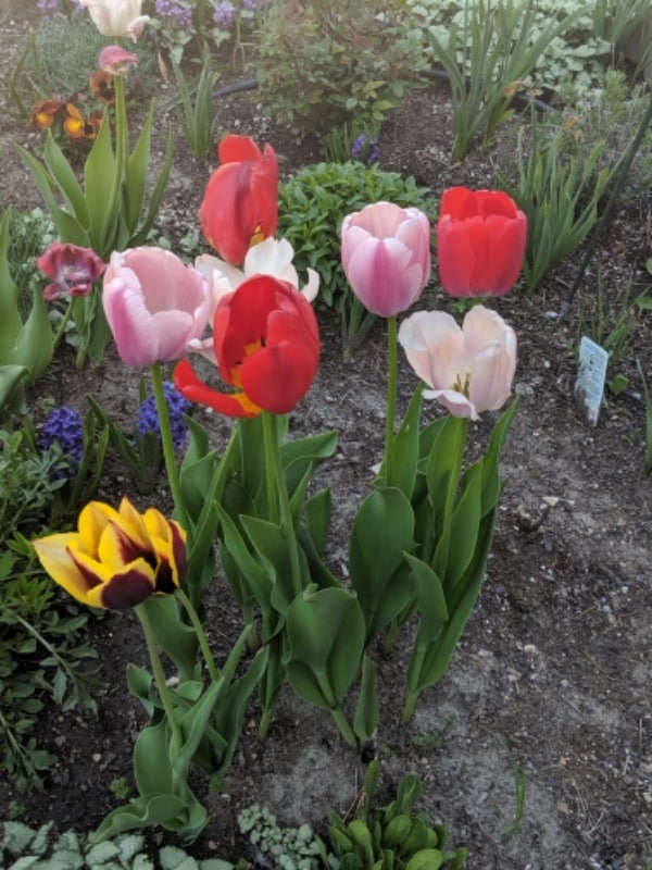 Photo - 718 Darby St