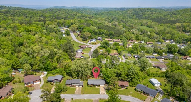 Photo - 2314 Green Forest Ln