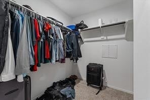 Photo - 5231 Mossdale Blf Ln