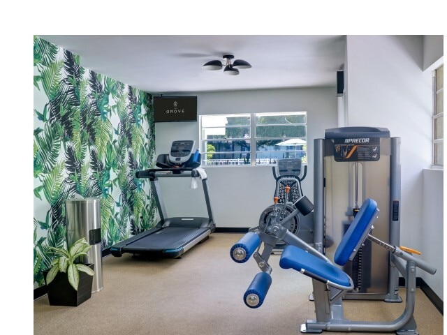 ¡Gimnasio completamente nuevo - The Grove Apartments