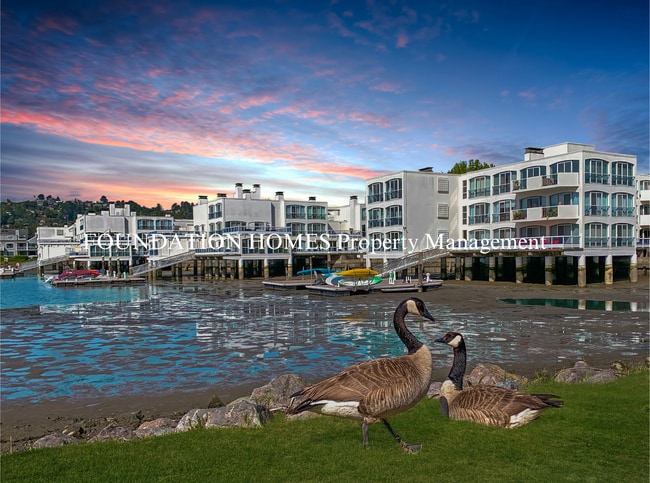 Building Photo - Sun Drenched Waterfront Shelter Bay Penthouse- Pool- Tennis - FOUNDATION