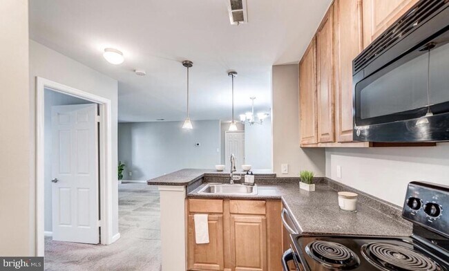 Photo - 10300 Appalachian Cir Unit 307