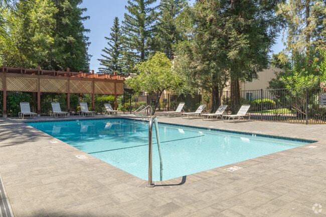 Piscina - Linden Lane Apartments