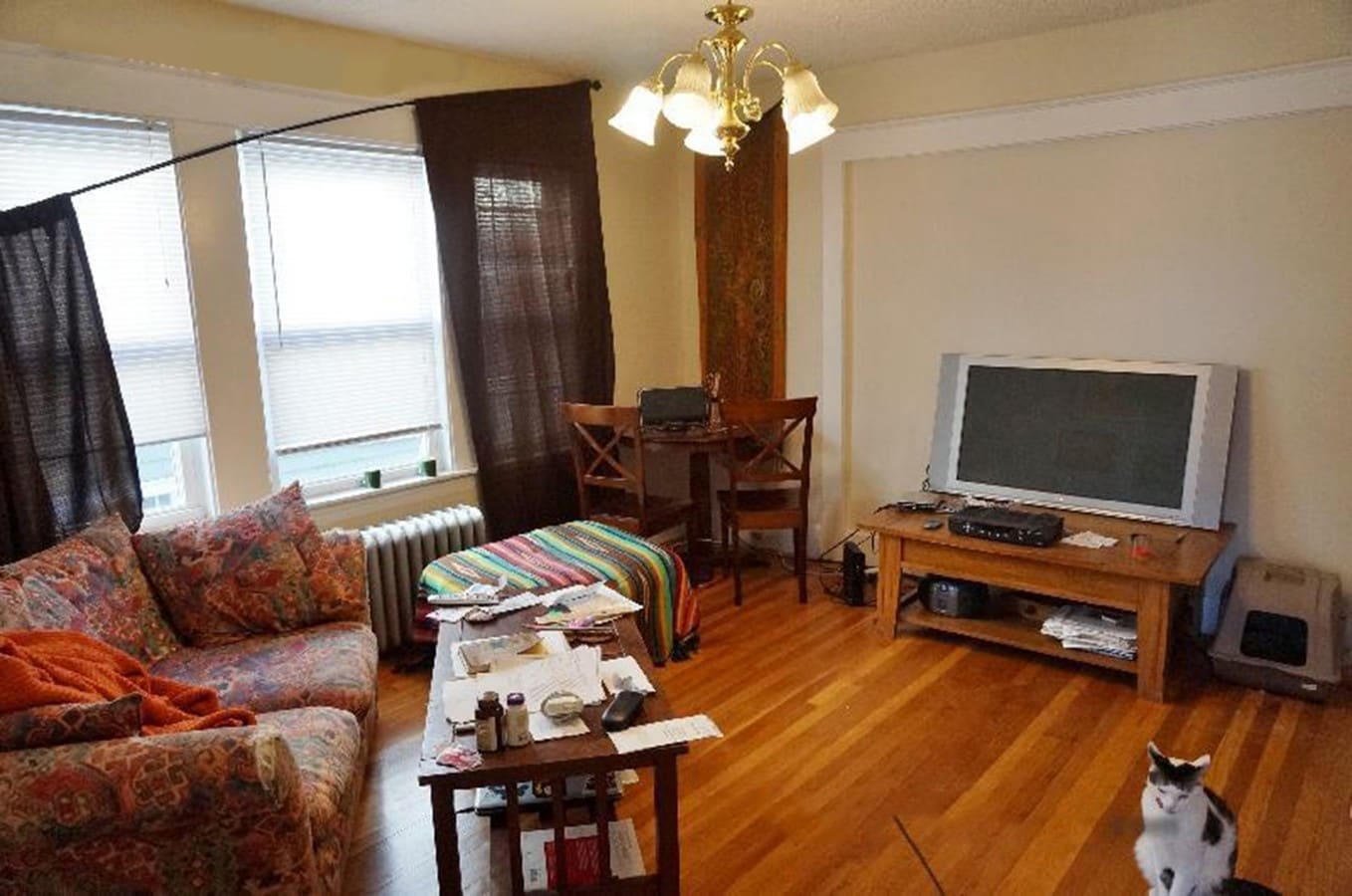 Photo - 151 Forest Hills St