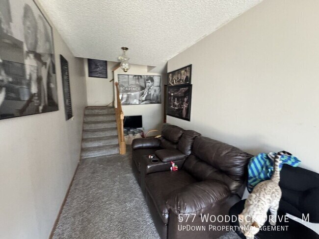 577 Woodduck Dr