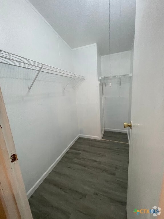 Building Photo - 622 Spike Buck Run Rental