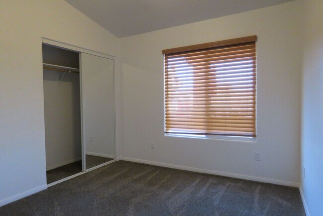 Photo - Solar! Solar! Solar!