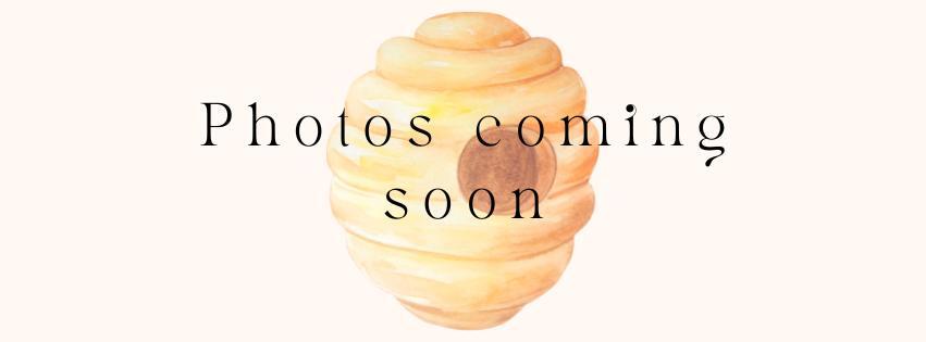 Photo - 19 Anthony Cir