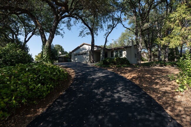 Photo - Beautiful Cameron Park New Build!