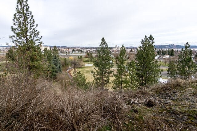 Photo - 1609 E Hartson Ave Unit Apt 3