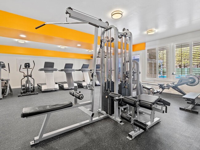 Community workout room with bikes, treadmills, and weight equipment - Palms Court