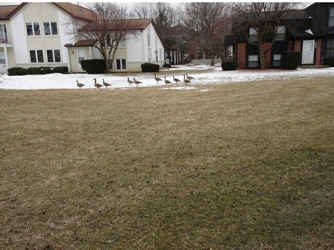 Photo - 1014 Inverrary Ln