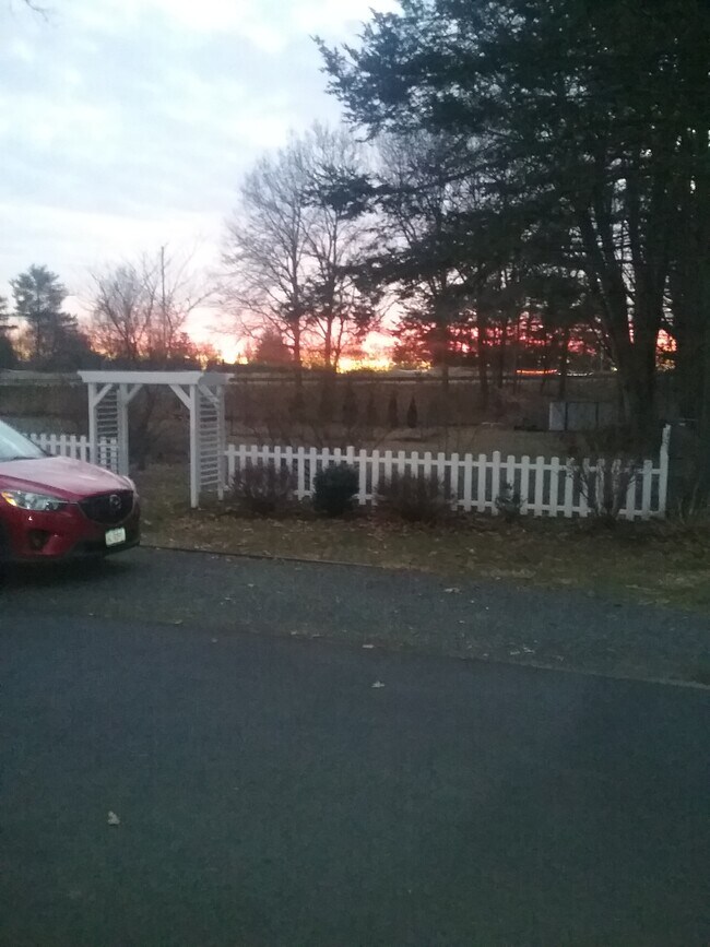 Enjoy sunsets in back yard - 271 House St