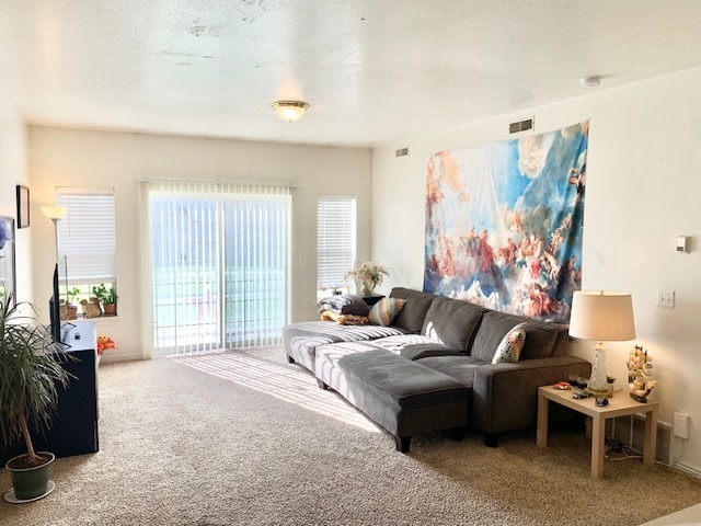 Photo - 416 N Seven Peaks Blvd Townhome
