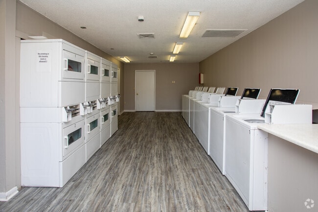 Lavandería - Summer Tree