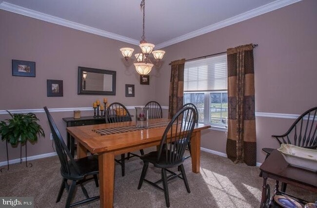 Photo - 51 Nocentino Dr