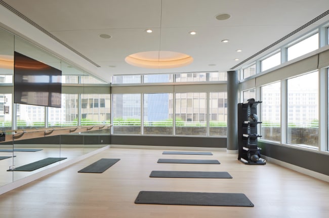 Yoga Center - 455 N Park Dr