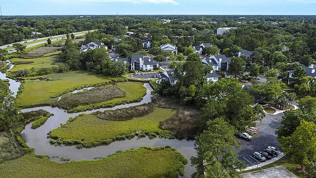 The Edge of the Marsh