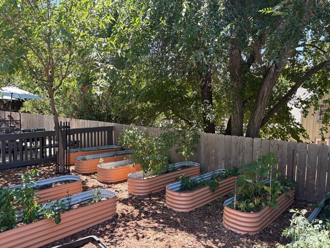 Garden Beds - 5440 Capistrano Ave Unit B