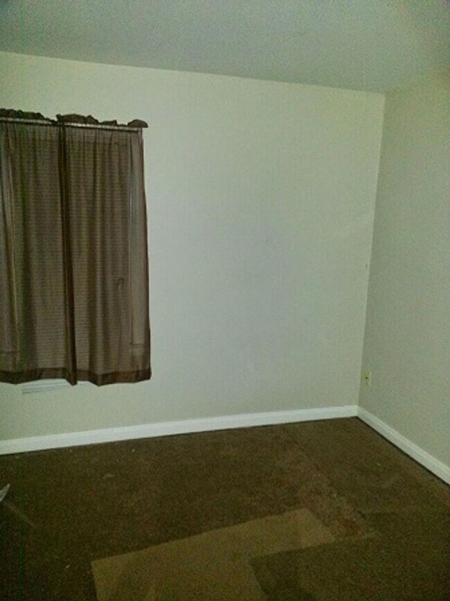 Photo - Golf Manor beauty