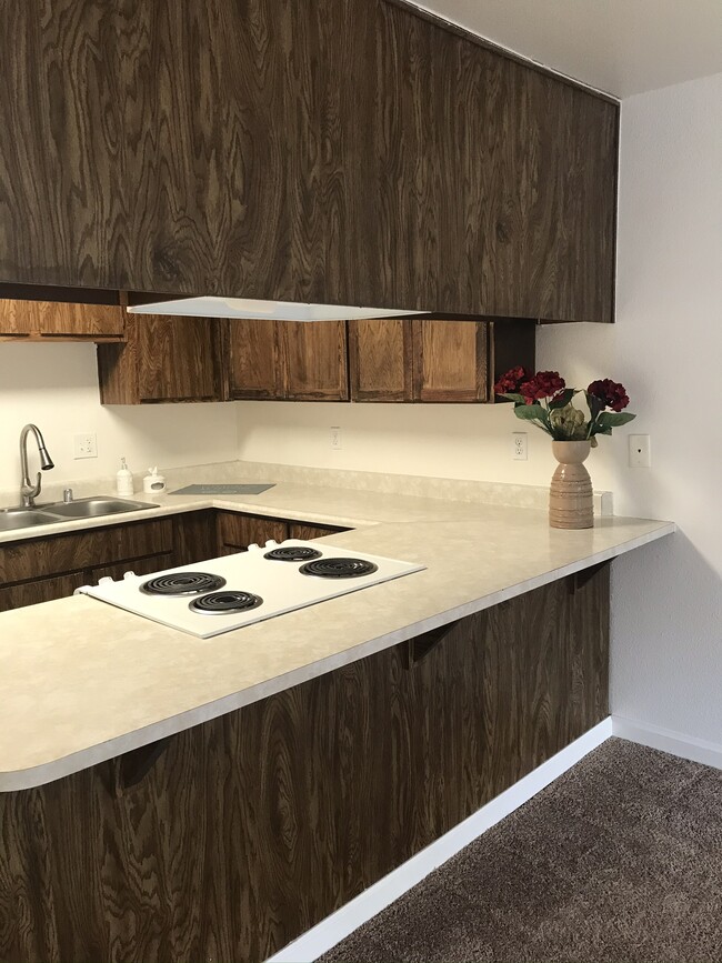 Kitchen - Willow View Apartments