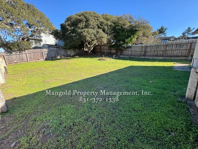 Photo - Updated 2 Bed 1 Bath Home on a Spacious Corner Lot with Large Yard Located in Monterey