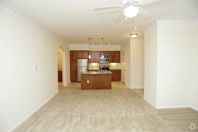 Open Concept-O'Malley