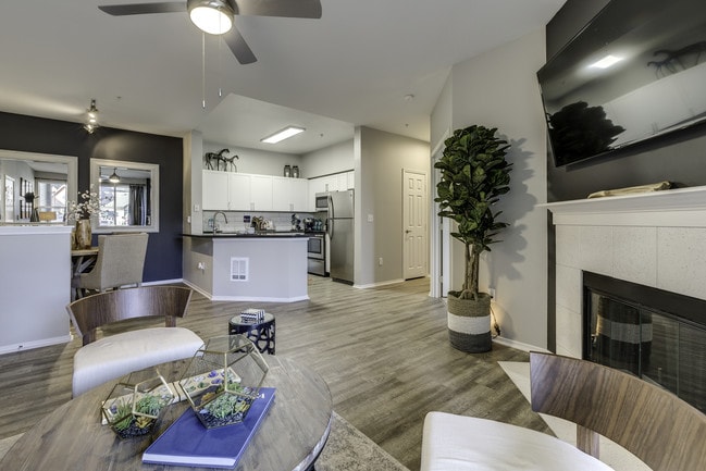 Patio or Deck