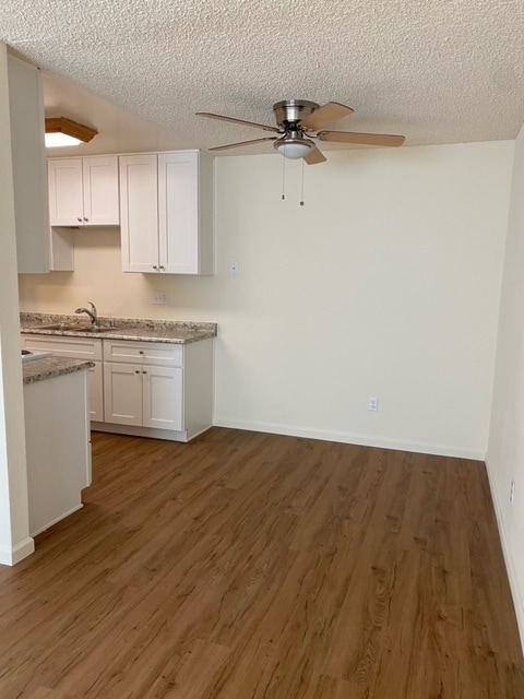 Separate dinning room with a ceiling fan